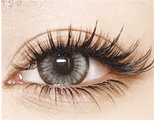 Close-up of a full volume lash extension set with fanned extensions on each natural lash