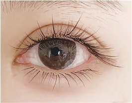 Close-up of a YY/clover lash extension set with pre-shaped fanned tips